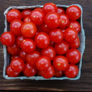 Matt's Wild Cherry Tomato - 2008 (3)